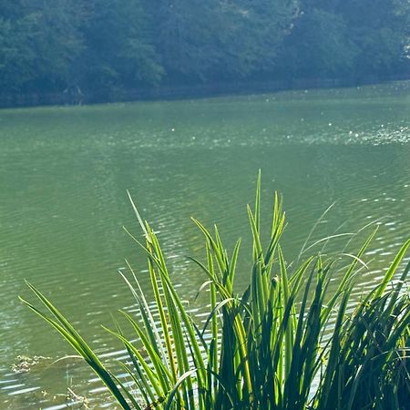 Lac De Lumiere. Relax With Rural Lakeside Living Herry ภายนอก รูปภาพ