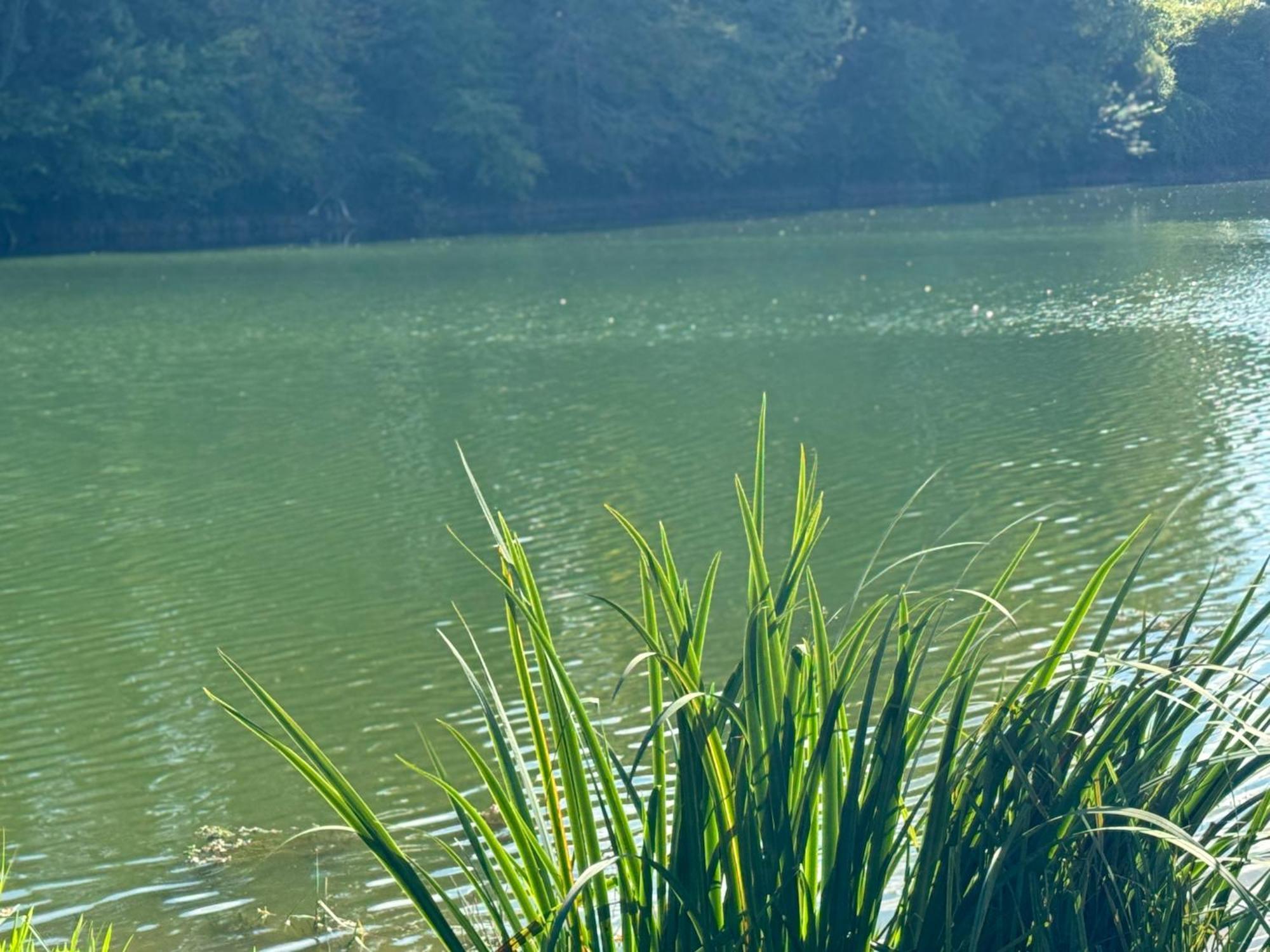 Lac De Lumiere. Relax With Rural Lakeside Living Herry ภายนอก รูปภาพ